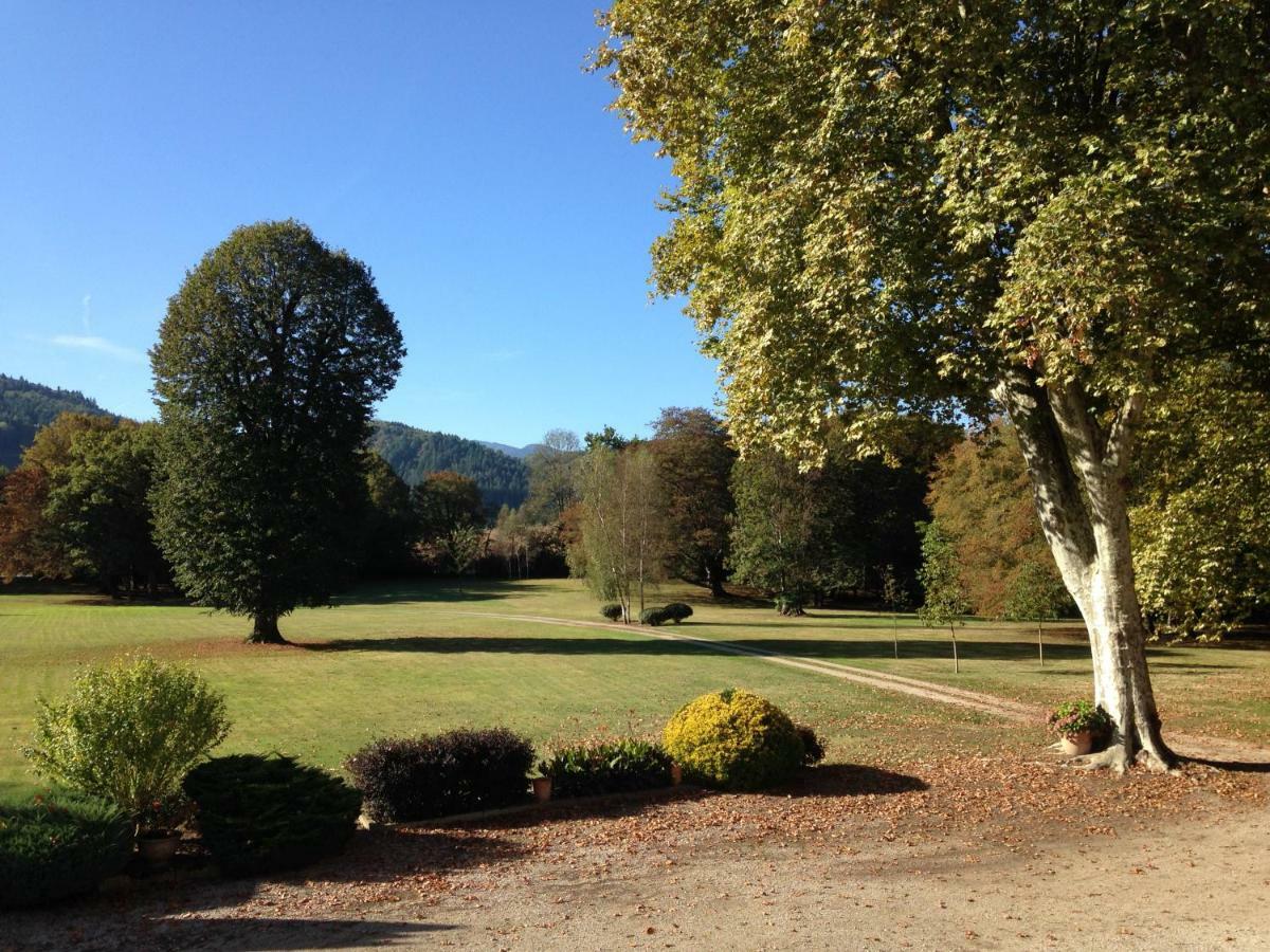Chateau Du Val Larbont La Bastide-de-Serou Bagian luar foto